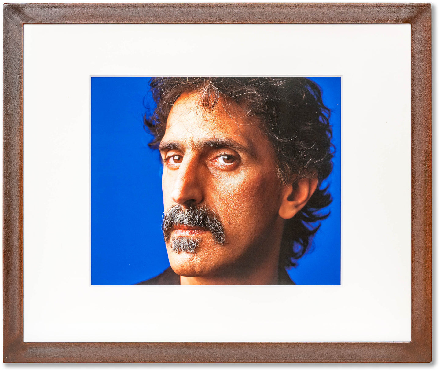 WOWE, Frank Zappa, Musicista, n.d.